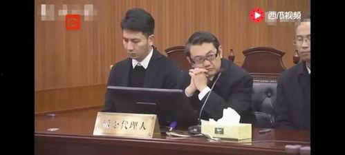 何野最新爆料,揭秘娱乐圈惊人内幕  第3张