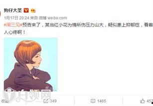 谁爆料了小花梅的视频播放,神秘爆料者揭开网络热议之谜  第2张