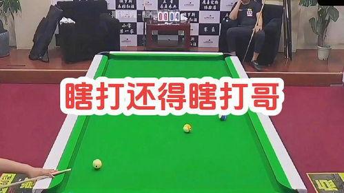 摇摆哥台球爆料视频下载,揭秘台球界不为人知的幕后故事  第2张
