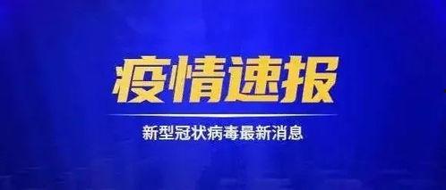 东莞爆料最新新闻今天事件,今日焦点事件深度解析  第3张