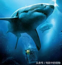 海鲨在线观看,深海探险的惊悚之旅  第2张