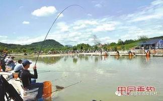 爆料如皋钓鱼视频,揭秘当地渔民的悠闲生活  第2张