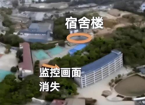高中生离奇失踪爆料视频,揭秘背后惊人真相