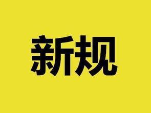 今日青岛新闻爆料,重大事件引发社会关注 第2张 今日青岛新闻爆料,重大事件引发社会关注 第2张