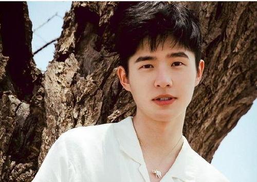 刘昊然八卦爆料直播视频,娱乐圈幕后八卦大公开  第2张