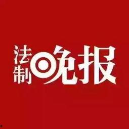 烟台爆料最新新闻头条号,聚焦热点事件，揭秘幕后真相  第3张