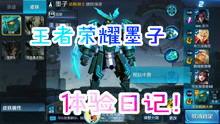 王者爆料大盗是谁啊视频,揭秘神秘人物身份之谜