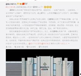 炒房团最新爆料,最新爆料揭示楼市暗流涌动 第3张 炒房团最新爆料,最新爆料揭示楼市暗流涌动 第3张