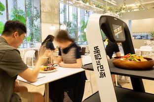 普渡科技爆料新闻最新情况,揭秘行业前沿动态与突破性进展”