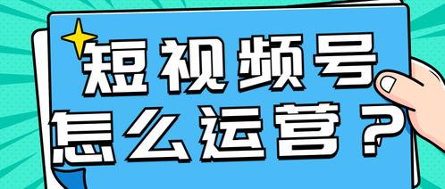 如何做好爆料短视频运营,打造爆款爆料的秘诀