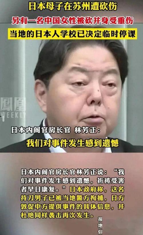 冤情爆料视频大全,视频大全背后的真实故事