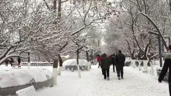 春之雪在线观看完整版,浪漫冬日，情感升温的唯美之旅  第3张