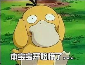 小智抖音爆料视频大全,揭秘幕后故事与精彩瞬间