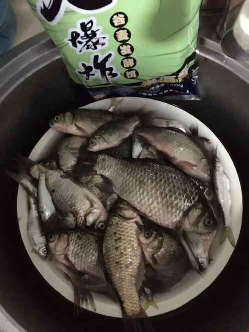 薯鱼大爆料完整视频,揭秘视频背后的惊人真相与幕后故事