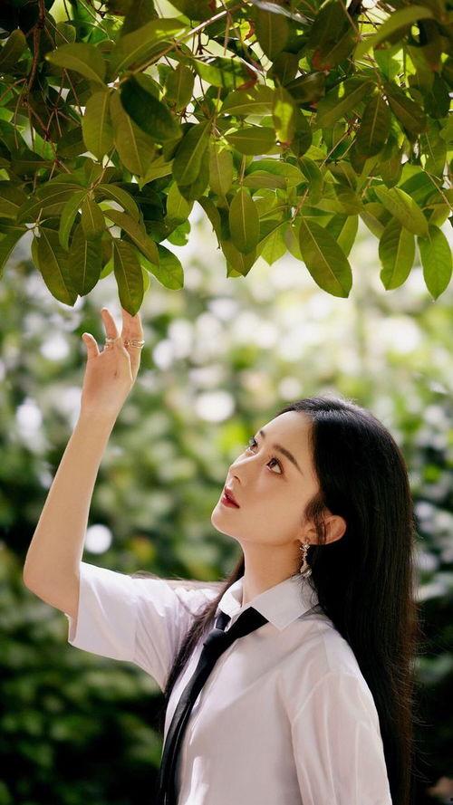 娱乐圈9条吃瓜爆料视频,揭秘明星背后的秘密与真相 第2张 娱乐圈9条吃瓜爆料视频,揭秘明星背后的秘密与真相 第2张