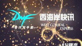 马斯克烟花爆料视频大全,一场视觉盛宴的科技狂欢