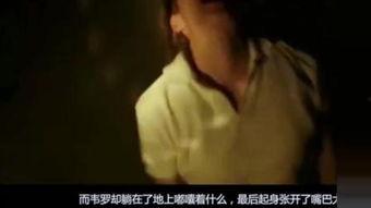 死亡在线观看,揭秘网络世界中的生死边缘