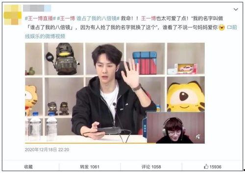 晓鼎爆料视频大全集,揭秘娱乐圈幕后真相