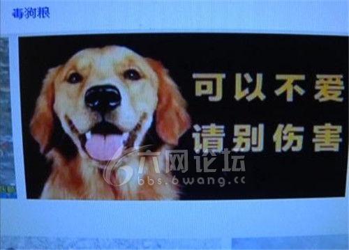 记者爆料快狗事件视频,记者揭露惊人真相